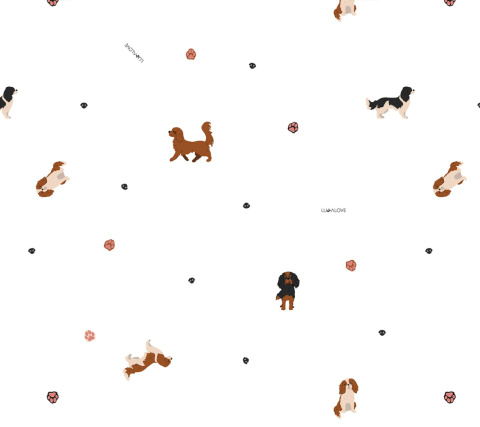 Miękka szczotka z włosia koziego z myjką Cavaliery Lullalove Miękka szczotka z włosia koziego z myjką Cavaliery Lullalove